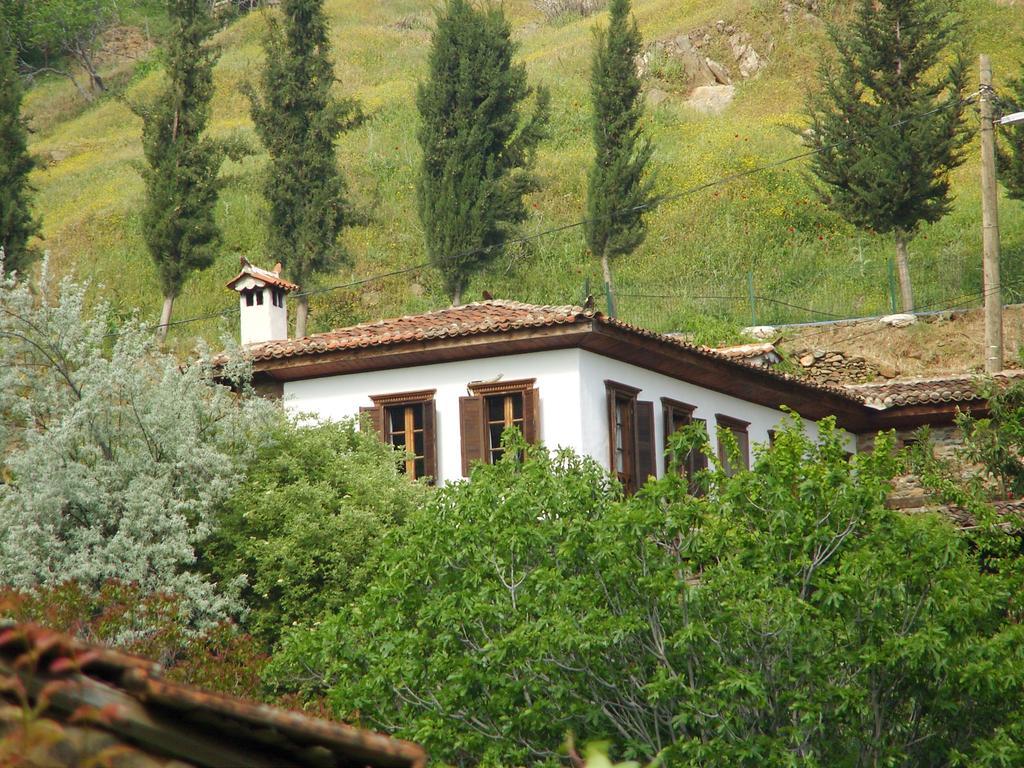 Terrace Houses Sirince セルチュク エクステリア 写真