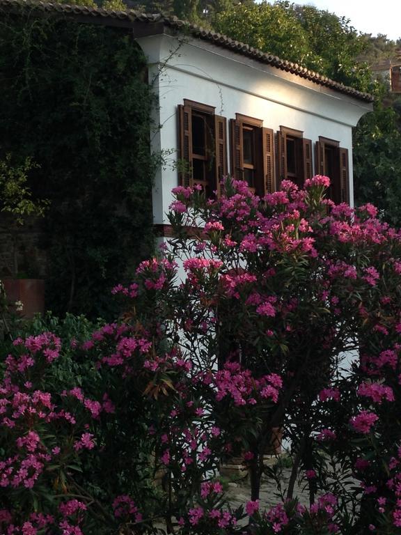 Terrace Houses Sirince セルチュク エクステリア 写真