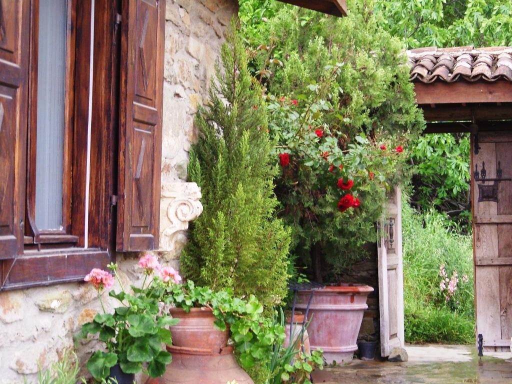 Terrace Houses Sirince セルチュク エクステリア 写真