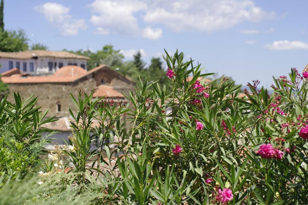 Terrace Houses Sirince セルチュク 部屋 写真